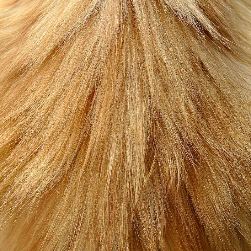 Cómo cuidar su pelo durante la muda de primavera