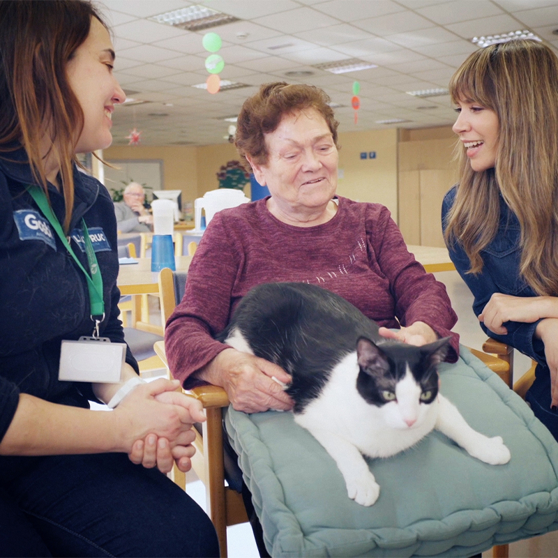 ¡Primer episodio! Cuando el amor es medicina: terapia clínica asistida con perros y gatos