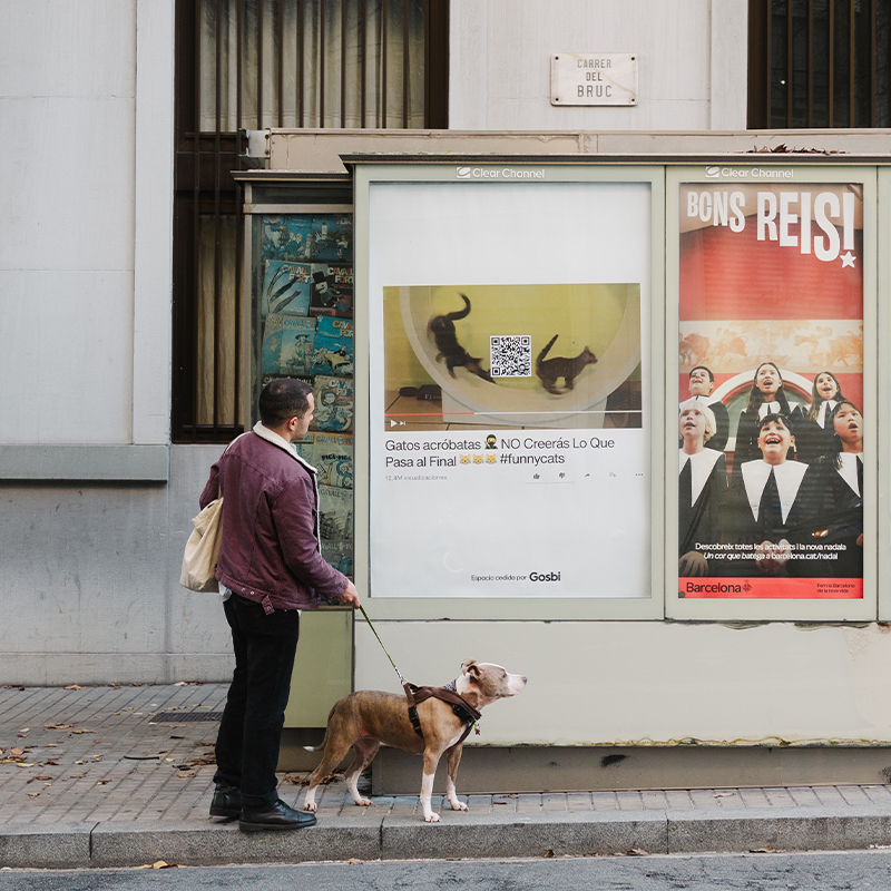 ¿Por qué los animales 
 y la veterinaria están en riesgo?