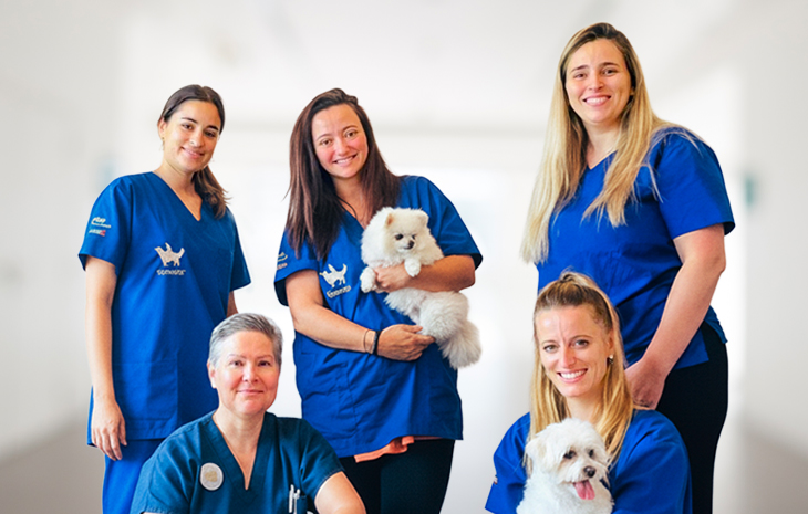 veterinary Margarida Lopes