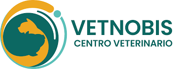 veterinary Miguel José Vázquez Moreno