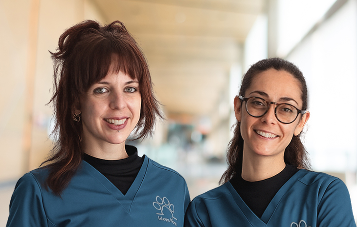 veterinary Equipo Saludanimal Casablanca