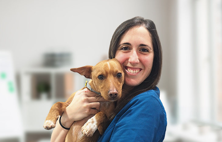 veterinary LLAUET CÁRDENAS