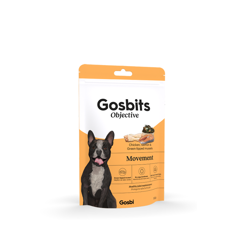 Objective Dog Senior Movement Objective Dog Senior Movement